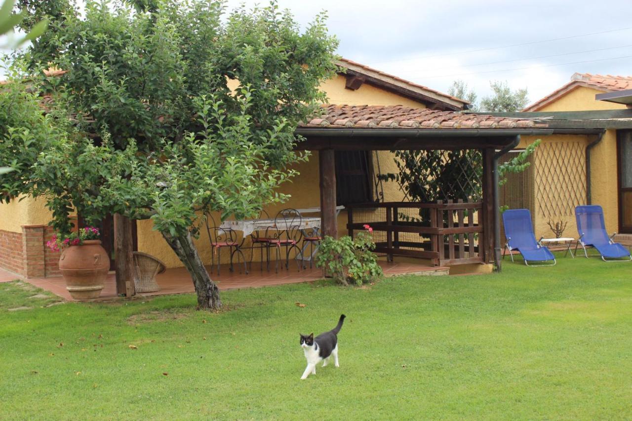 Podere Serena Castagneto Carducci Exterior foto