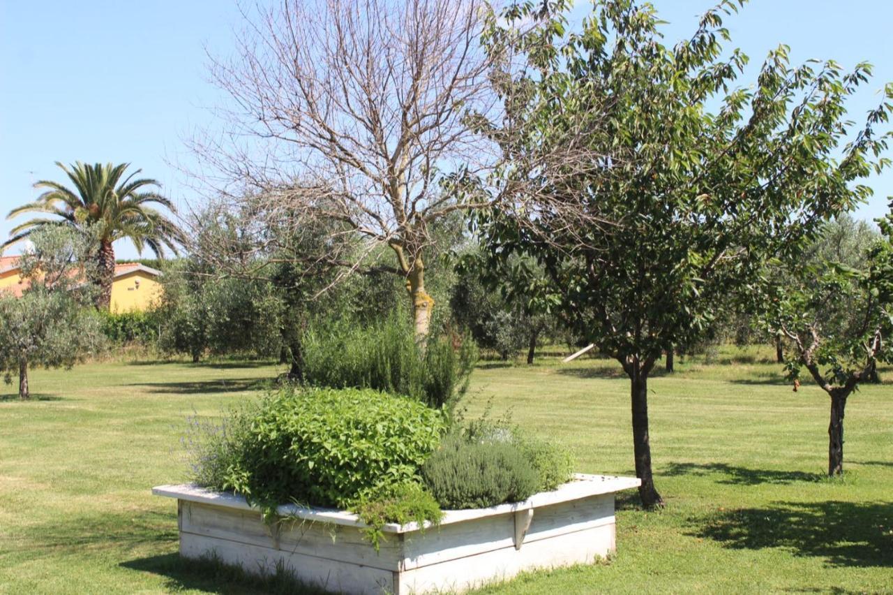 Podere Serena Castagneto Carducci Exterior foto